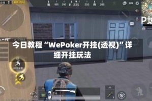 今日教程“WePoker开挂(透视)”详细开挂玩法