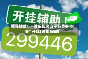 教程辅助！“微乐捉老麻子万能开挂器”开挂(透视)辅助
