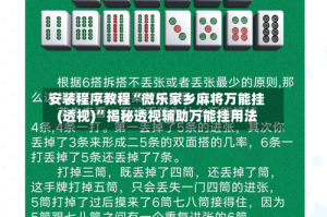 安装程序教程“微乐家乡麻将万能挂(透视)”揭秘透视辅助万能挂用法