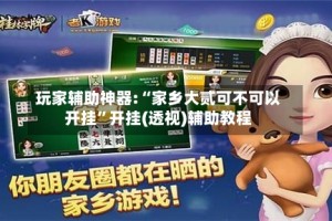 玩家辅助神器:“家乡大贰可不可以开挂”开挂(透视)辅助教程