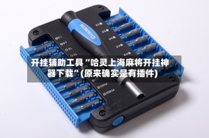 开挂辅助工具“哈灵上海麻将开挂神器下载”(原来确实是有插件)