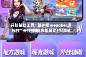 开挂辅助工具“德州局wepoker透视挂”开挂神器{透视辅助}全揭秘