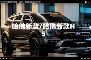 哈佛新款/哈佛新款H5