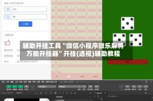 辅助开挂工具“微信小程序微乐麻将万能开挂器”开挂(透视)辅助教程