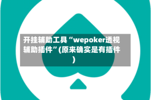 开挂辅助工具“wepoker透视辅助插件”(原来确实是有插件)