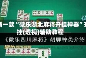最新一款“微乐湖北麻将开挂神器”开挂(透视)辅助教程