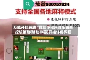 万能开挂辅助“微信小程序微乐陕西挖坑辅助(辅助神器)开挂详细教程