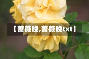 【蔷薇晚,蔷薇晚txt】