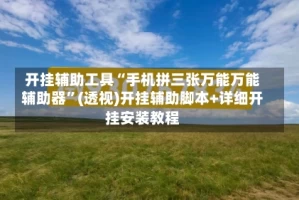 开挂辅助工具“手机拼三张万能万能辅助器”(透视)开挂辅助脚本+详细开挂安装教程
