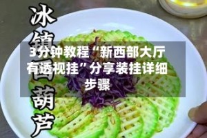3分钟教程“新西部大厅有透视挂”分享装挂详细步骤