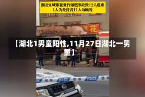 【湖北1男童阳性,11月27日湖北一男童】