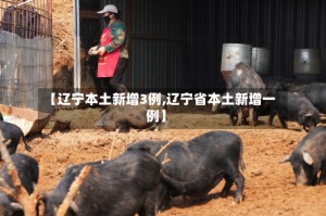 【辽宁本土新增3例,辽宁省本土新增一例】