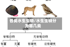 各类水生生物/水生生物分为哪几类