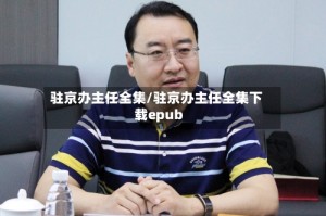 驻京办主任全集/驻京办主任全集下载epub