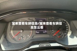 宝来查看车辆信息/宝来查看车辆信息怎么看