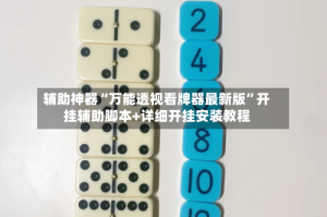 辅助神器“万能透视看牌器最新版”开挂辅助脚本+详细开挂安装教程