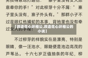 【改造花心坏相公,改造花心坏相公的小说】