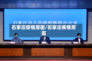 石家庄疫情原因/石家庄疾情原因