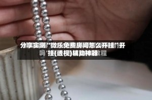 分享实测“微乐免费房间怎么开挂”开挂(透视)辅助神器