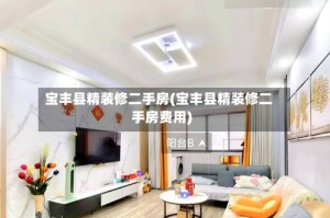 宝丰县精装修二手房(宝丰县精装修二手房费用)