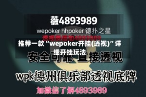 推荐一款“wepoker开挂(透视)”详细开挂玩法