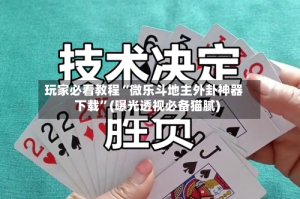 玩家必看教程“微乐斗地主外卦神器下载”(曝光透视必备猫腻)