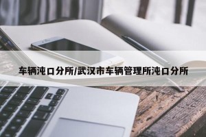 车辆沌口分所/武汉市车辆管理所沌口分所
