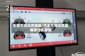 车辆方向突然跑偏/汽车方向突然跑偏是什么原因