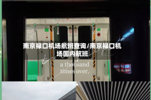 南京禄口机场航班查询/南京禄口机场国内航班