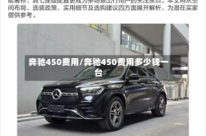 奔驰450费用/奔驰450费用多少钱一台