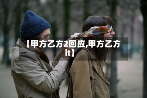 【甲方乙方2回应,甲方乙方it】