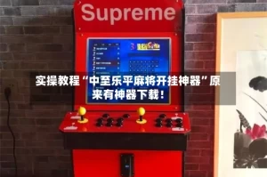 实操教程“中至乐平麻将开挂神器”原来有神器下载！