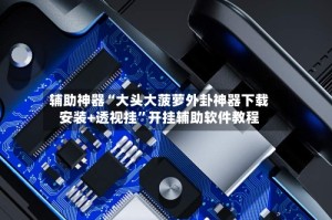 辅助神器“大头大菠萝外卦神器下载安装+透视挂”开挂辅助软件教程