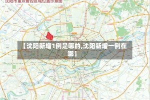【沈阳新增1例是哪的,沈阳新增一例在哪】