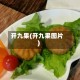 开九果(开九果图片)