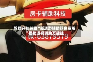 教程开挂辅助“新道游辅助器免费版”揭秘透视辅助万能挂