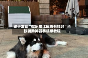 终于发现“微乐龙江麻将有挂吗”科技辅助神器手机版教程