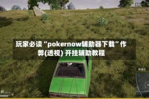 玩家必读“pokernow辅助器下载”作弊(透视) 开挂辅助教程