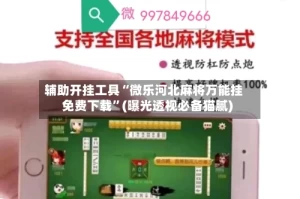 辅助开挂工具“微乐河北麻将万能挂免费下载”(曝光透视必备猫腻)