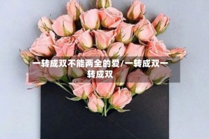 一转成双不能两全的爱/一转成双一转成双