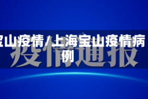宝山疫情/上海宝山疫情病例