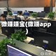 微赚赚宝(微赚app)