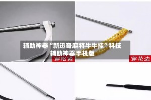 辅助神器“新迅奇麻将牛牛挂”科技辅助神器手机版