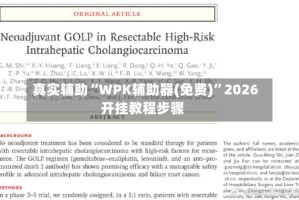 真实辅助“WPK辅助器(免费)”2026开挂教程步骤