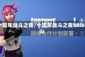 十周年战斗之夜/十周年战斗之夜bilibili