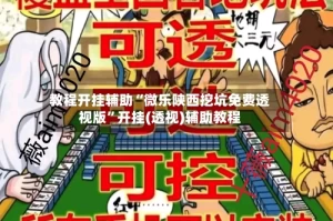 教程开挂辅助“微乐陕西挖坑免费透视版”开挂(透视)辅助教程