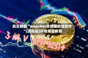 真实辅助“wepoker透视辅助挂软件“(透视挂)详细用法教程