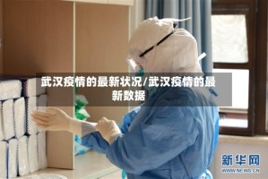 武汉疫情的最新状况/武汉疫情的最新数据