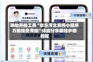 辅助开挂工具“微乐河北麻将小程序万能挂免费版”详细分享装挂步骤教程