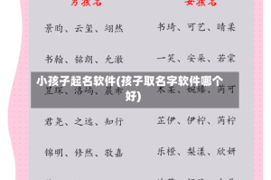 小孩子起名软件(孩子取名字软件哪个好)